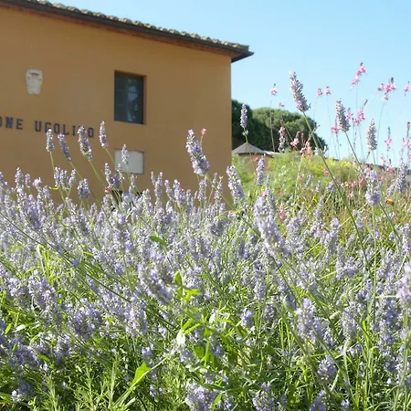 Casone Ugolino Country house