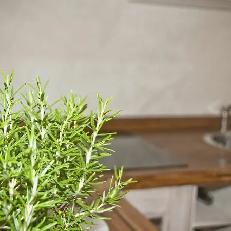 Casone Ugolino Country house *