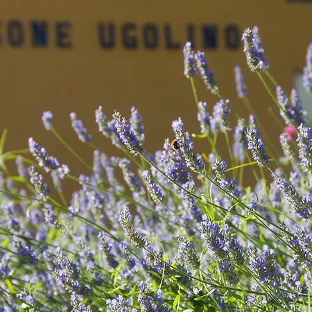 Séjour à la campagne Casone Ugolino