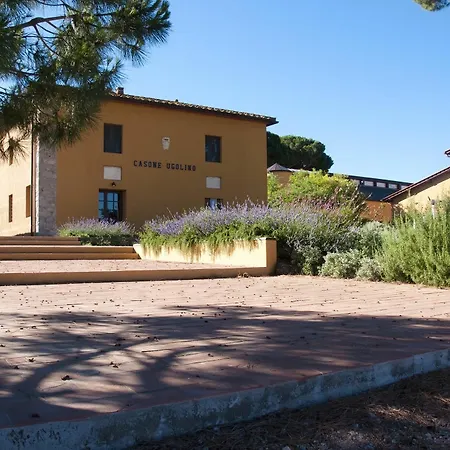 Casone Ugolino Donoratico